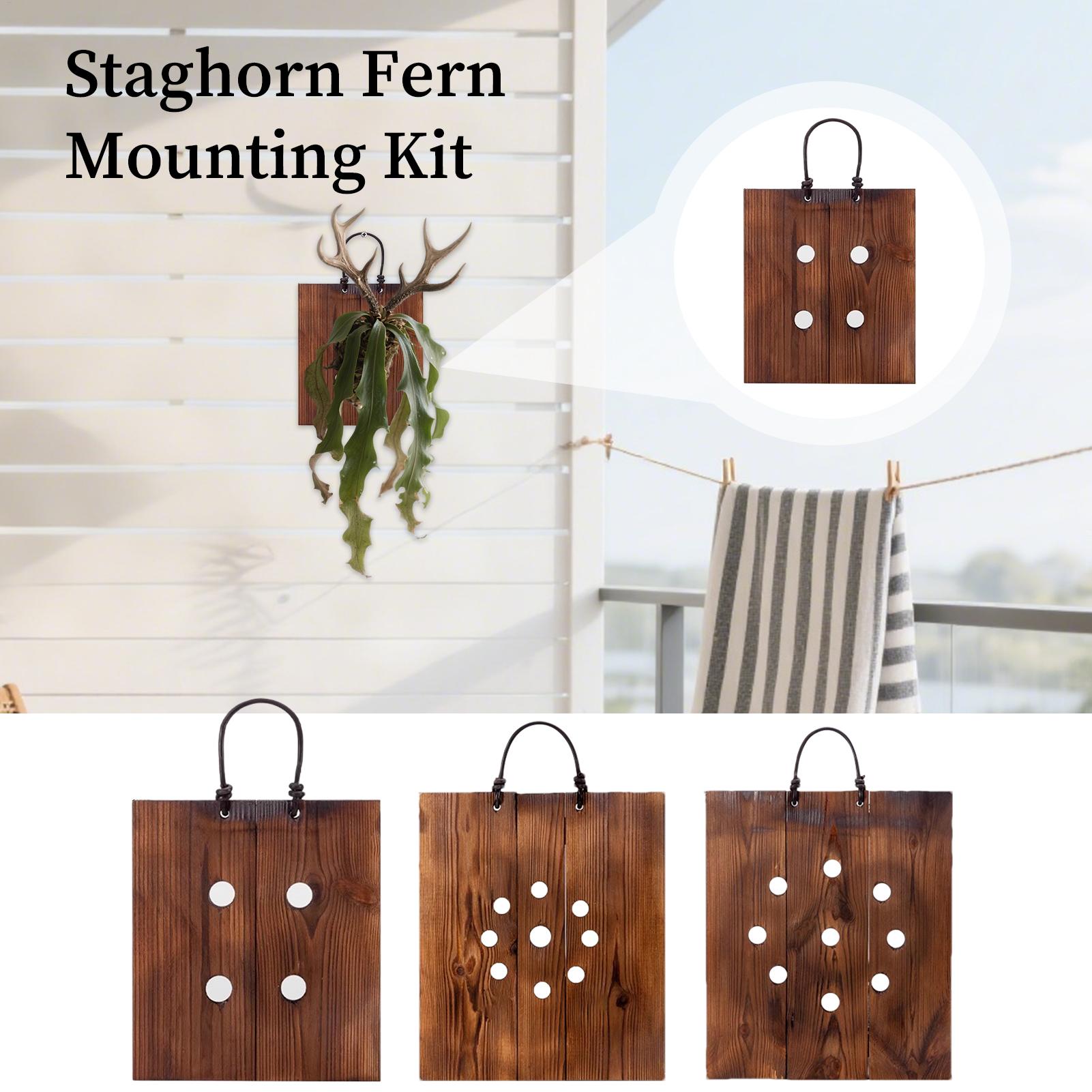 Plant Parents - Kit Fioriera da Parete in Legno
