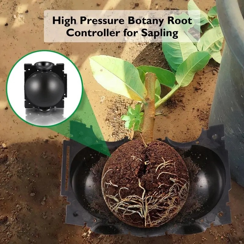 5/30 Pezzi Scatole per la Prop - Plant Parents recensione e prezzo