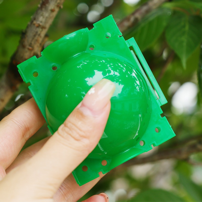Sfere di Rooting Pod per la Di - Plant Parents recensione e prezzo