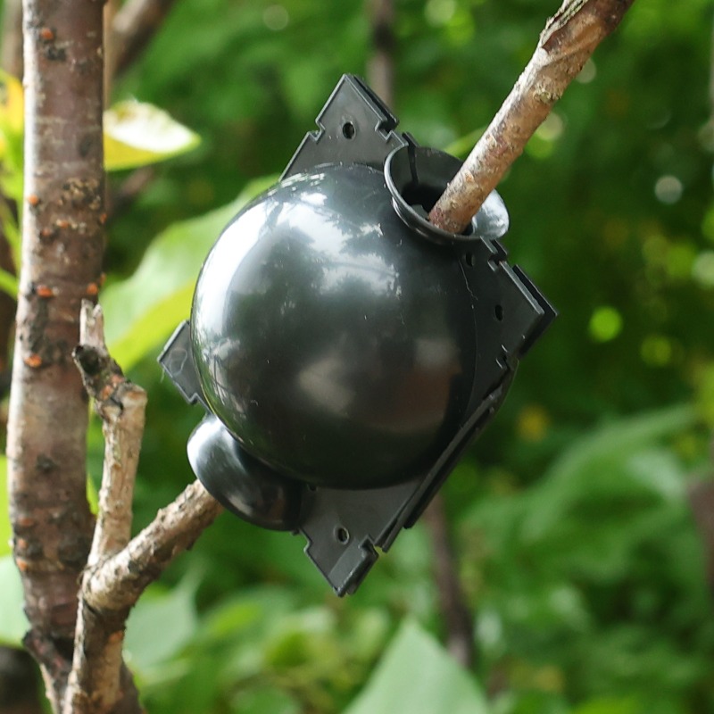 Sfere di Rooting Pod per la Di - Plant Parents recensione e prezzo