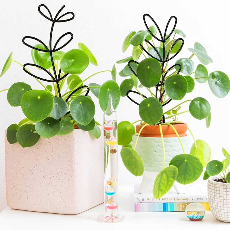3 pezzi telaio di supporto per - Plant Parents recensione e prezzo