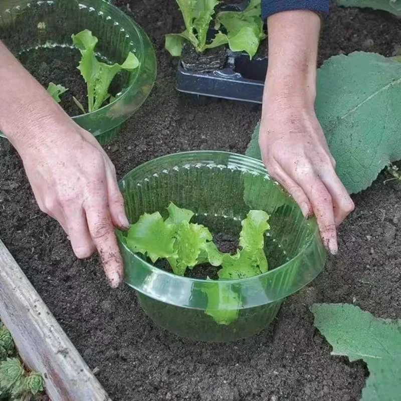 Anelli di protezione per lumac - Plant Parents recensione e prezzo