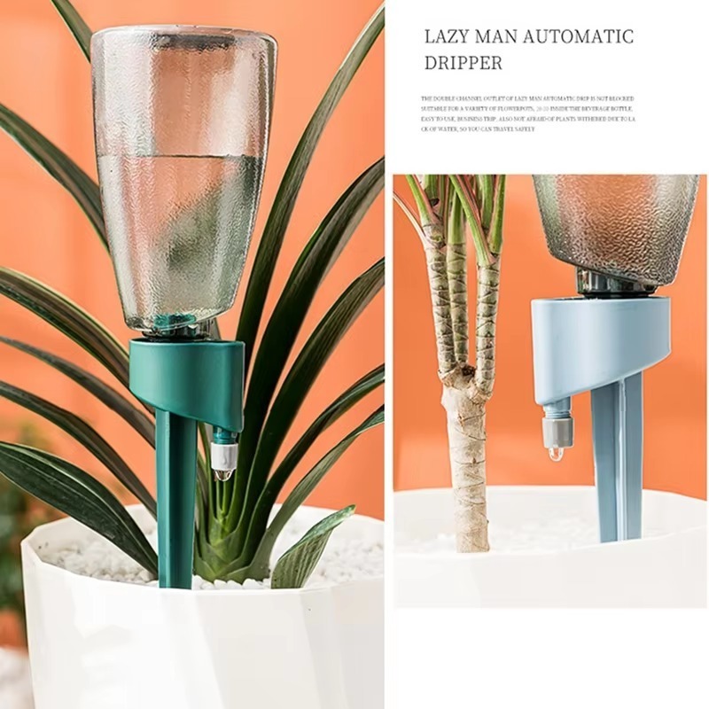 Pianta regolabile con punte di - Plant Parent Kit recensione e prezzo