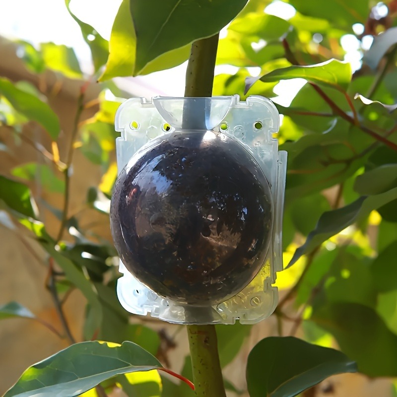 Kit da 10 Pezzi per Propagazio - Plant Parent Kit recensione e prezzo