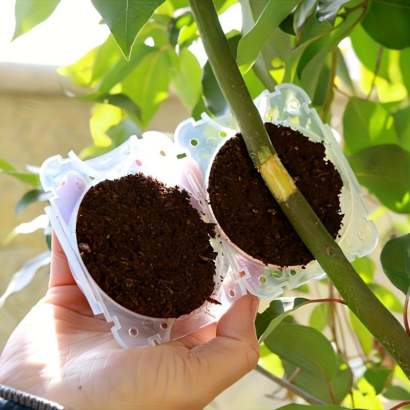 Kit da 10 Pezzi per Propagazio - Plant Parent Kit recensione e prezzo