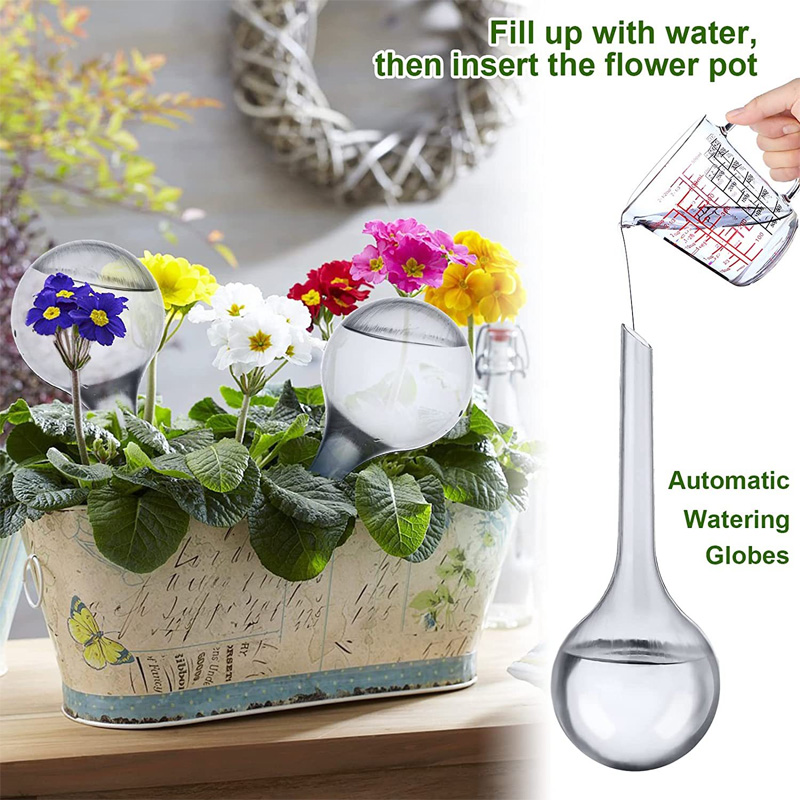 5/10PCS Lampadine per irrigazi - Plant Parent Kit recensione e prezzo