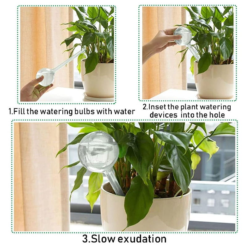 5/10PCS Lampadine per irrigazi - Plant Parent Kit recensione e prezzo