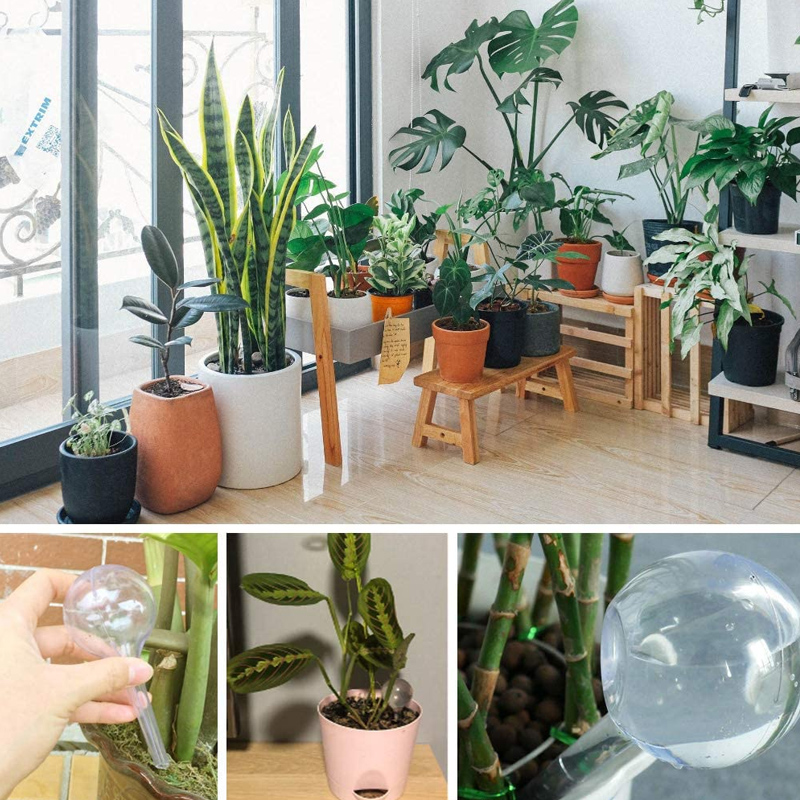 5/10PCS Lampadine per irrigazi - Plant Parent Kit recensione e prezzo